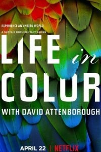 Жизнь в цвете с Дэвидом Аттенборо